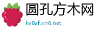 圆孔方木网